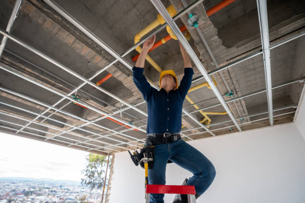Best Clogged Drain Plumber  in Bicknell, IN