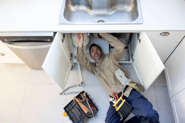 Best Local Plumber Services  in Bicknell, IN